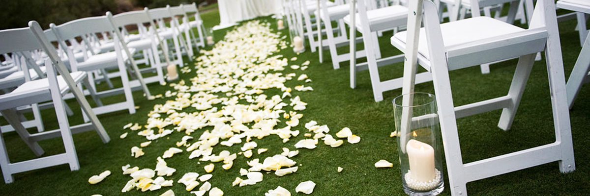 A row of white chairs and petals on the ground.